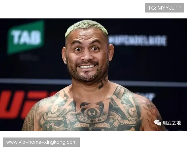 UFC 新星打出连环拳