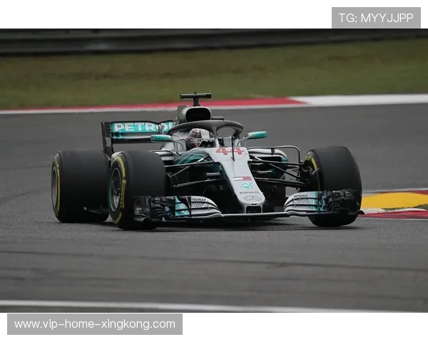 F1排位赛意外失误致冠军出局，车队内讧露端倪